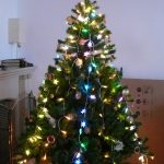 zber a odvoz vianočných stromčekov