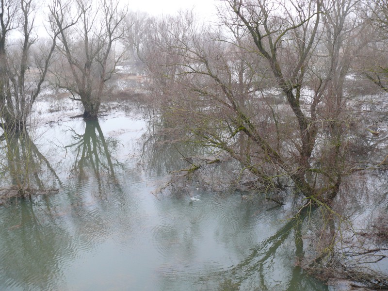 vyliata rieka Morava